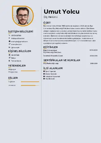 Diş Hekimi cv indir